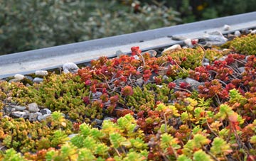 the cost of Tong green roof installation