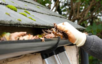 gutter cleaning Tong
