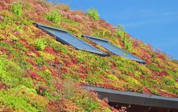 Tong living roof systems