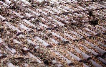 Tong roof cleaning companies